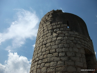 nnizzu-28-08-2022 12-39-50